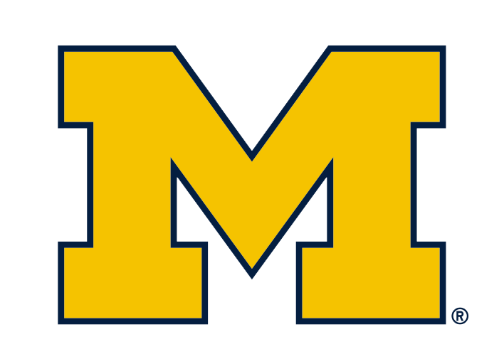 University of  Michigan - Corduroy Pearlsnap - M - Charcoal