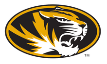 Load image into Gallery viewer, Missouri - Corduroy Pearl Snap - Tiger - Silver Fox
